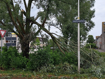 NOC-Poly- Stormschade bij het Fietspad Driegangpad / Persijnlaan